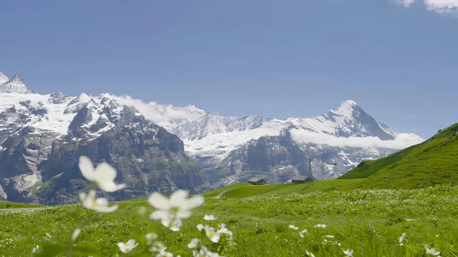 为什么那么多人选择年底离职？3 大数据 + 2 个决策方法