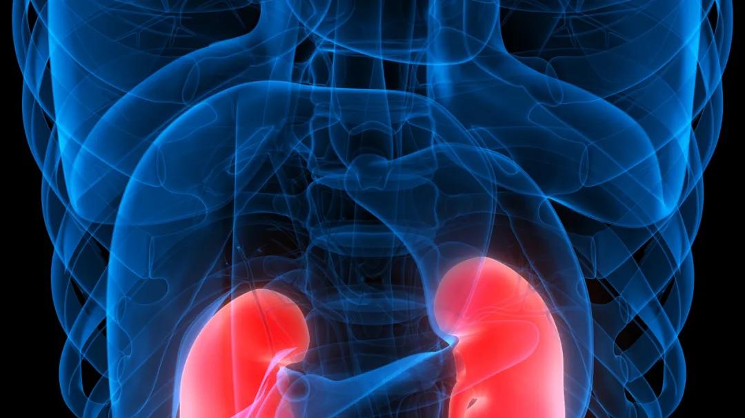 肾友恭喜了！这3个指标正常且稳住，你的肾就在“安全区”