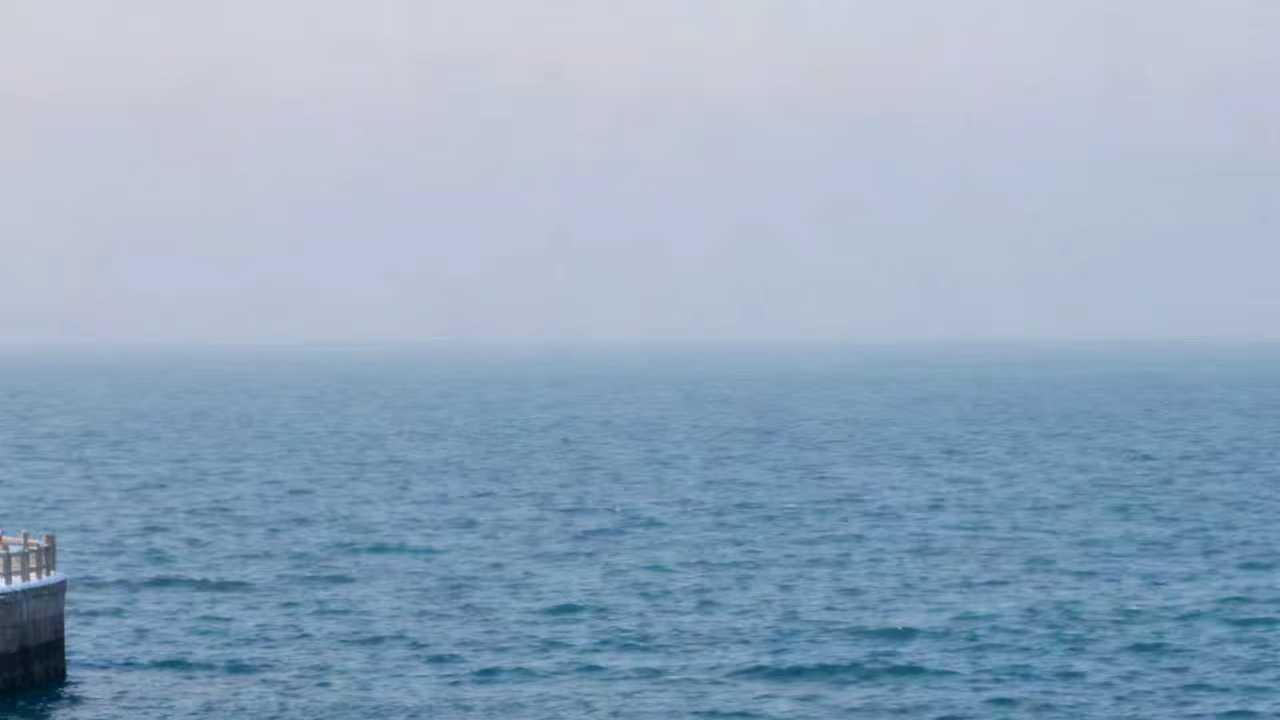 领克Z20上市一周年直播，解锁生活好搭子的N种打开方式