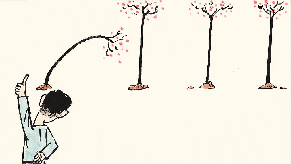 《傲慢与偏见》：你不知道的顶级婚恋观