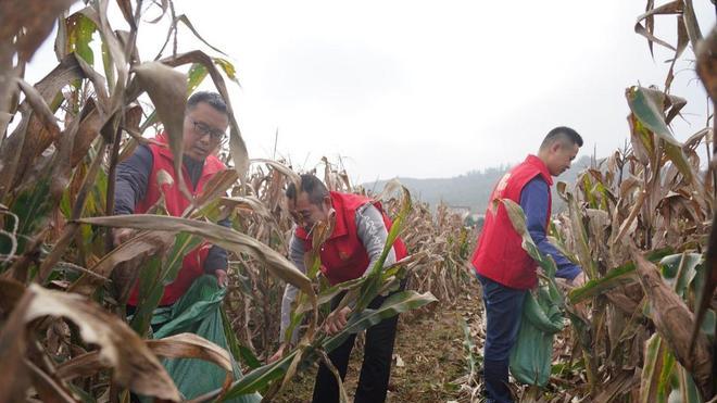 山东临沂：真情暖心助农忙 颗粒归仓显担当