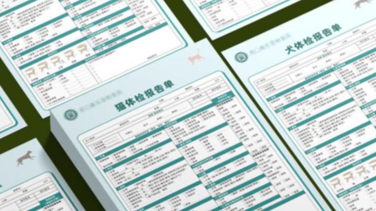 宠物体检报告怎么看？关键指标深度解读