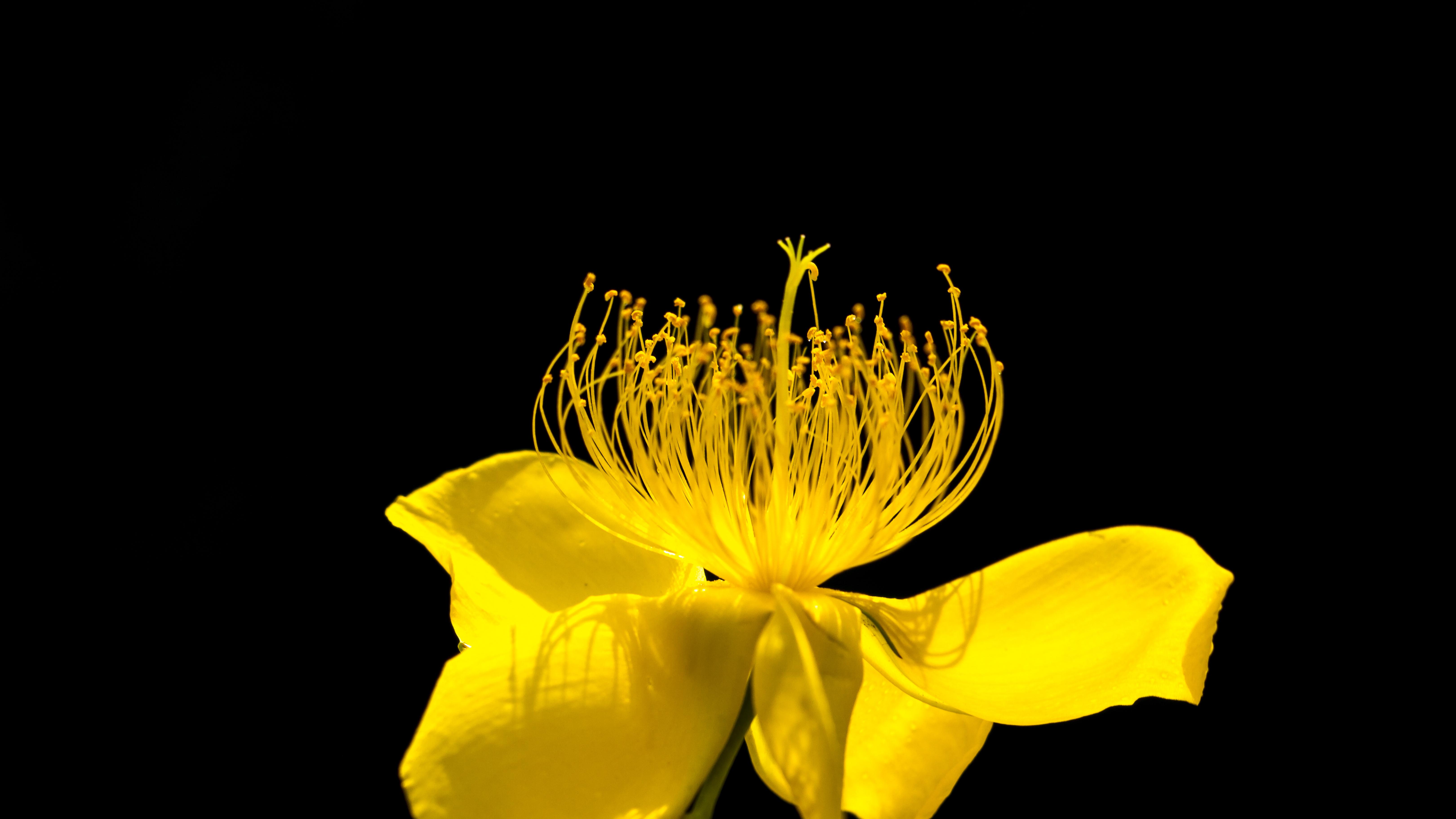 你的钱，到底听谁的？