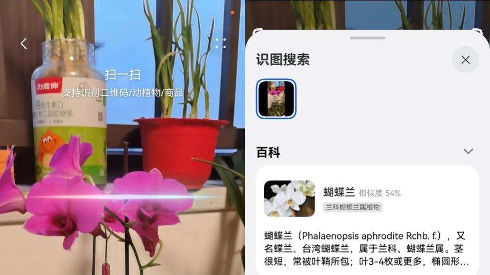 鸿蒙6小艺搜索实测：更懂你的需求，让服务直达