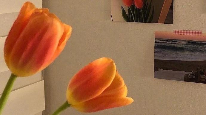 推荐发朋友圈的精美心情说说，句句经典，治愈心灵！