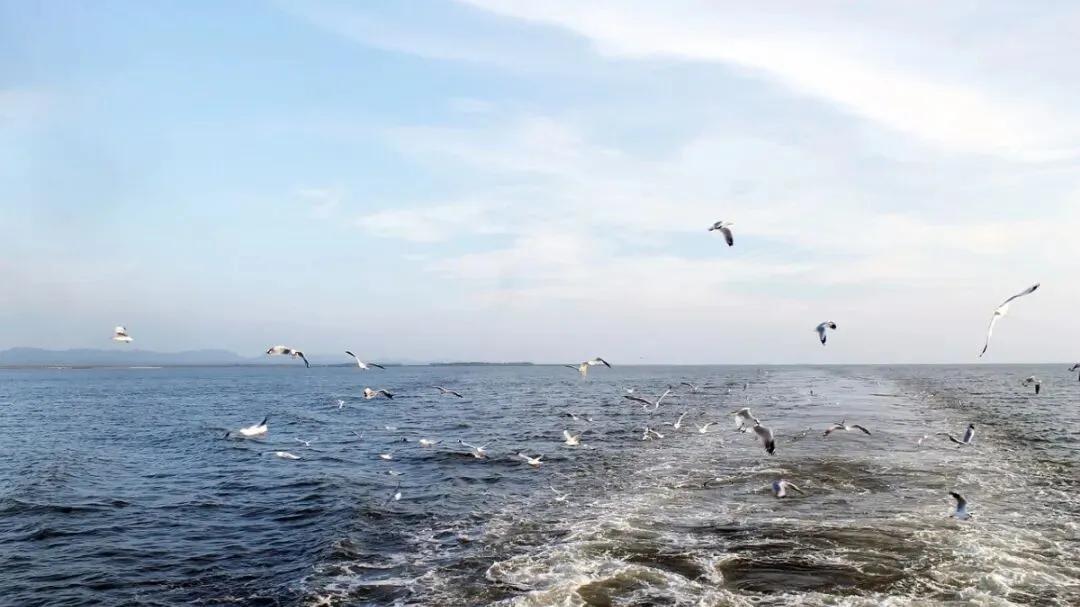 热带气旋“迪特瓦”肆虐南亚：极端气候下的脆弱与反思