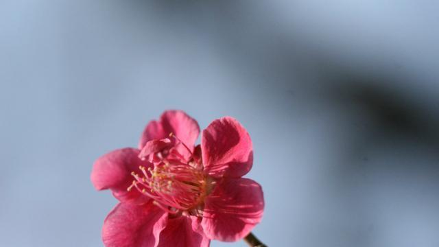 女人常做这4件事，只会让男人肆无忌惮地伤害你。