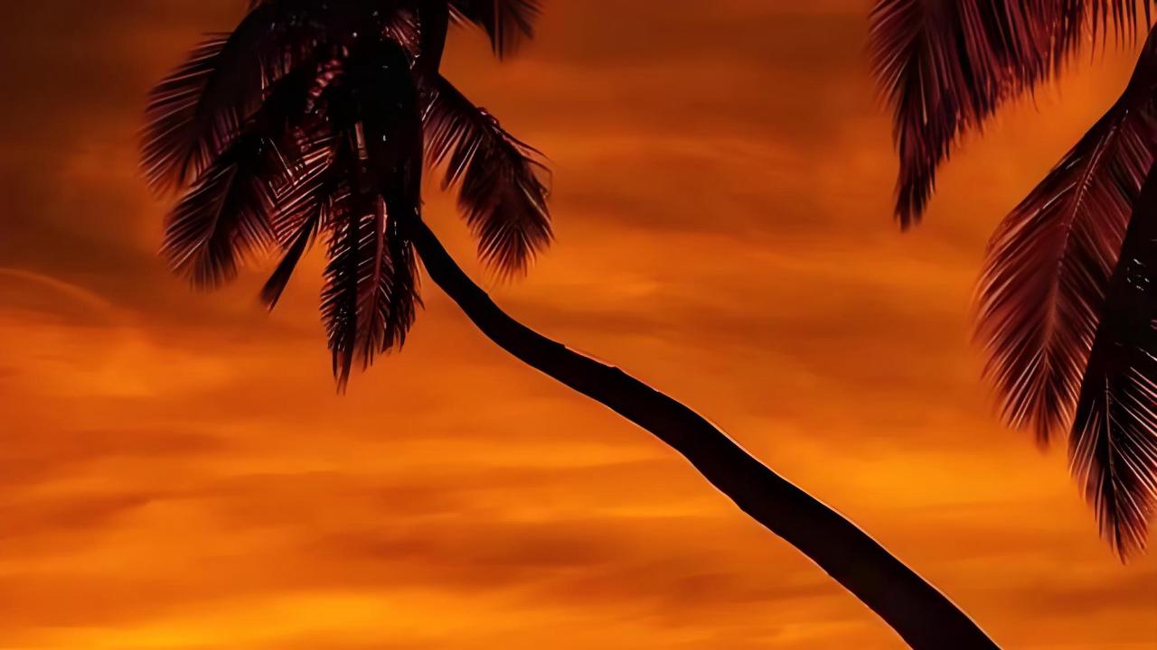 斐济艾滋病10 年激增10 倍：她从街头吸毒者到救赎者，撕开疫情下的残酷与微光