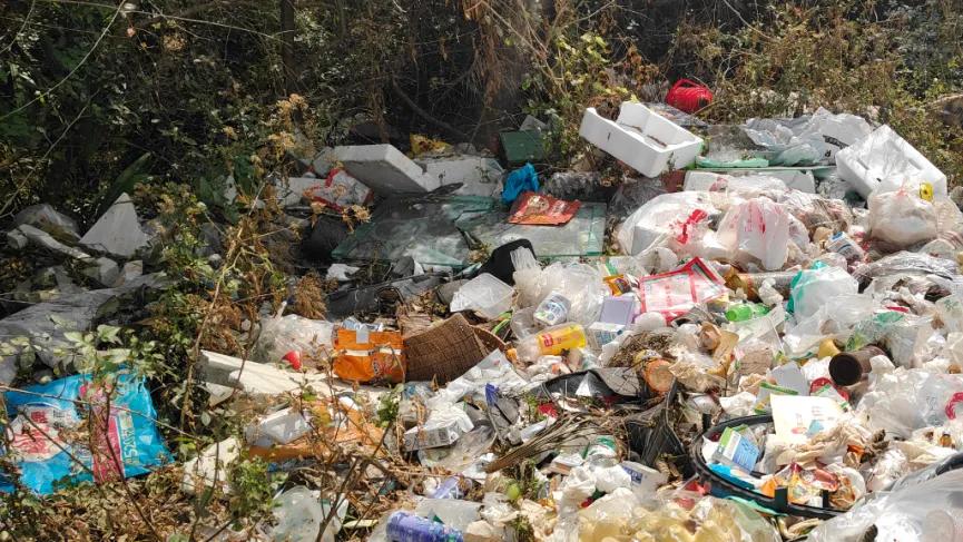 下寺镇中心村：乡村振兴需生态打底，莫让“垃圾山”煞了美丽乡村风景