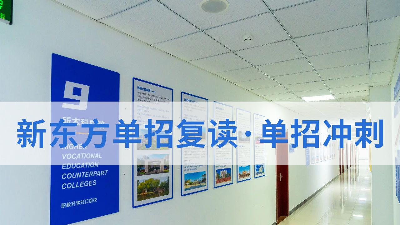 挣脱升学困局！西安新东方职教升学部：助你飞向理想学府