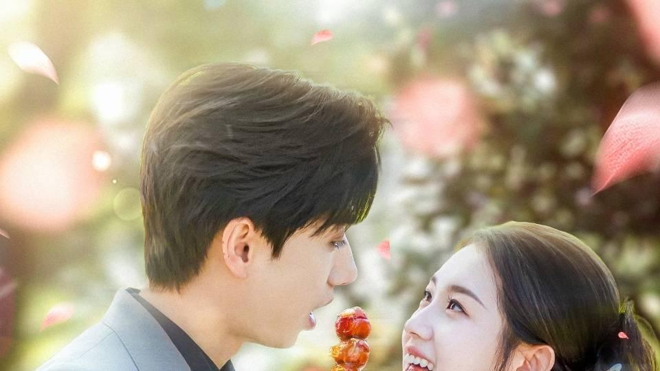 热门短剧《电线杆上的征婚广告，竟是美女上司》全集在线免费观看 一场意外邂逅引发的浪漫爱情与职场故事