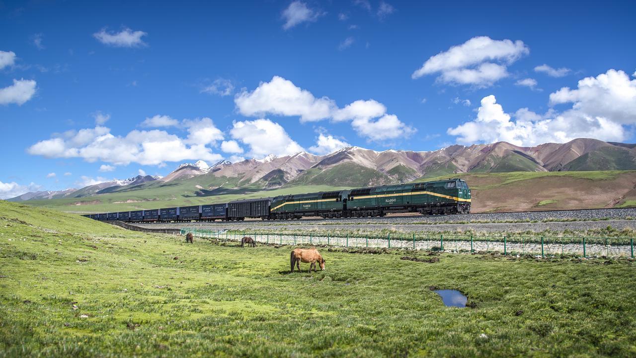 解码国之脊梁：中国工程院土木、水利与建筑工程学部院士的科技版图