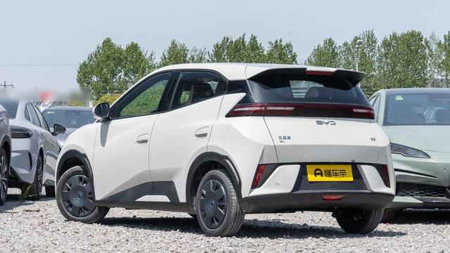 比亚迪海鸥：飞翔的梦想与科技的结晶