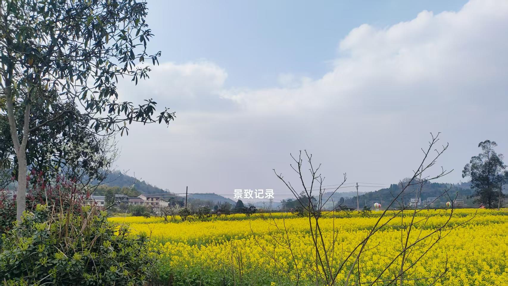 景致记录：美国哈利士堡，狄更斯见的绅士，或举止奇怪，或冒蒸汽