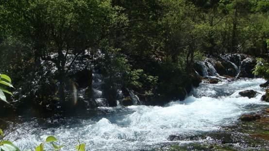 工业锅炉降本：冷凝水检测技术实战