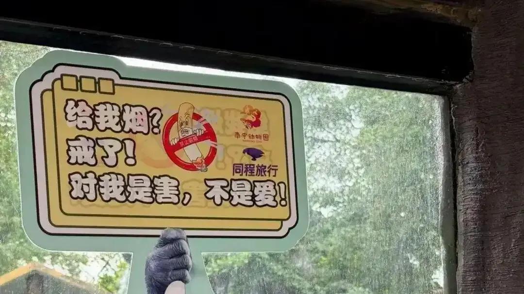 有前科的“网红”，又摊上事了