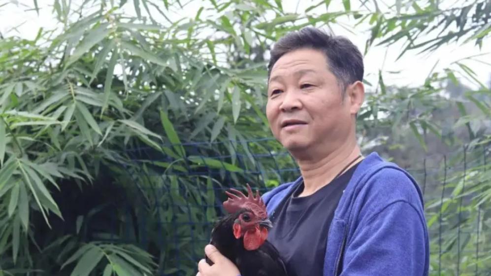 演员“三德子”赵亮：为“胖都来”录视频没收钱，以为和胖东来是一家！质疑我们养的鸡很冤枉