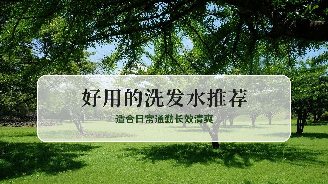 2025油头公认最好用的控油去屑洗发水推荐 适合日常通勤长效清爽