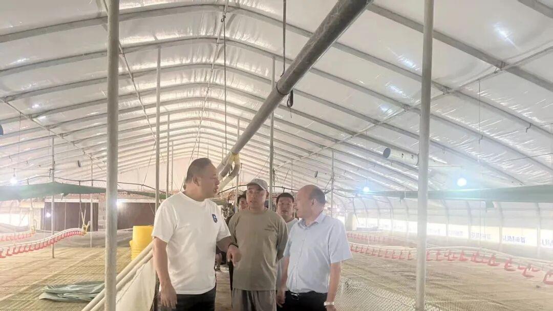 蘑菇大王丁伦保到明光市桥头镇蒲岗村给养鸭户培训食用菌种植技术