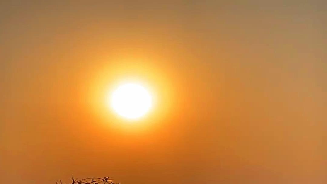 永远不要让你的直接上司感到失控的威胁