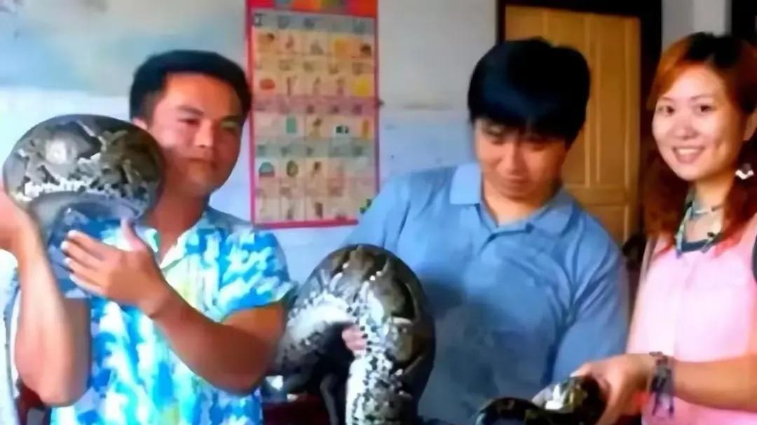 南海巨蟒为报恩，为男子看家护院，不料它主动攻击人，搞明情况后，更对这蛇爱不释手