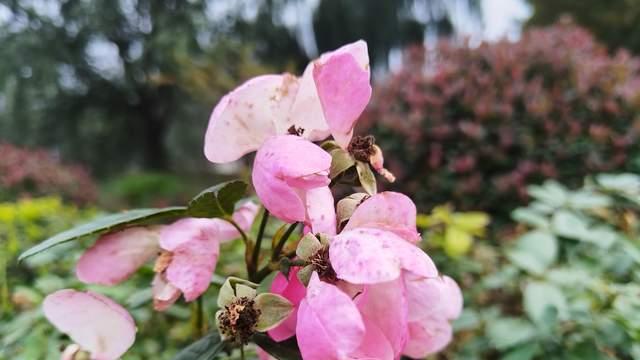 高三了，唤醒孩子自驱力方法，就是激活孩子渴望成功的欲望和信心