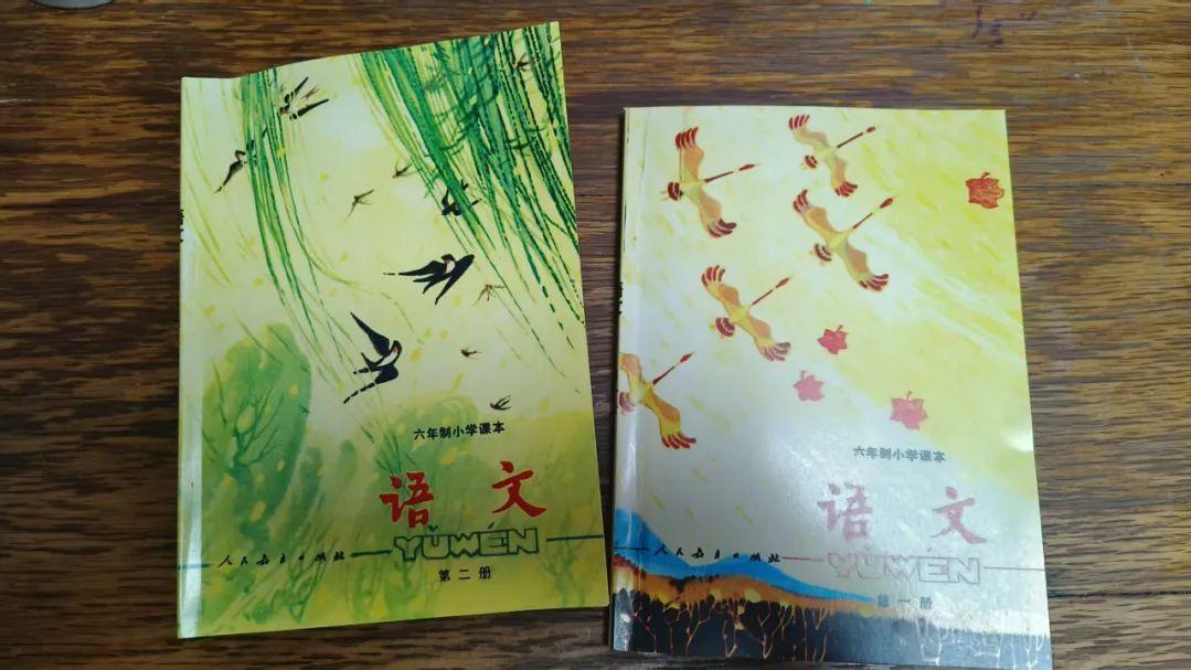 买到了80后的小学语文课本