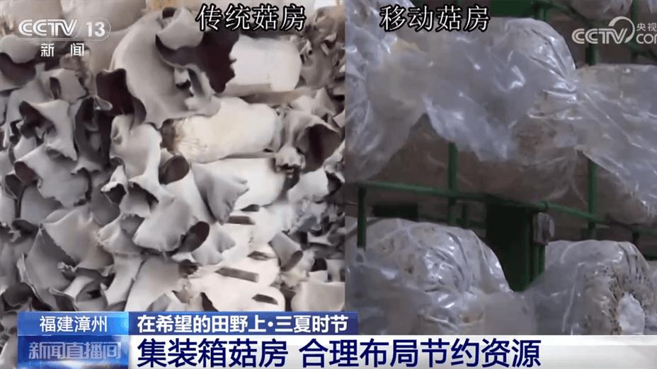 “机械+科技”、稻鸭共养、移动菇房 “智慧”引擎激活乡村振兴新动能