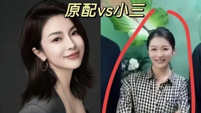 刘维伟和辛莎莎是真爱，辛莎莎丈夫也没干涉，李艳为何还不依不饶