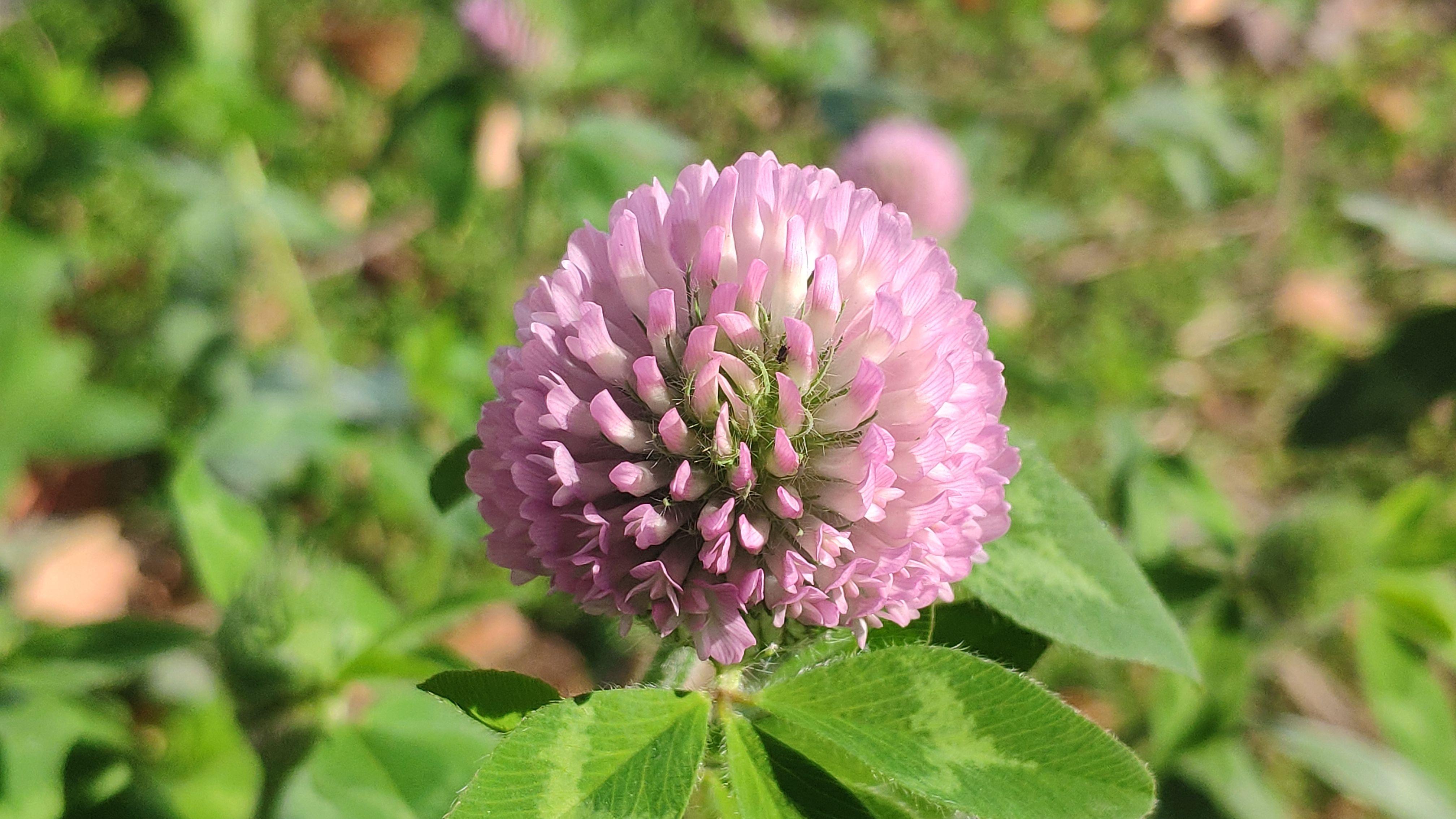 成功来源于何处？什么是心中的沙粒？为什么说成功起于微末？