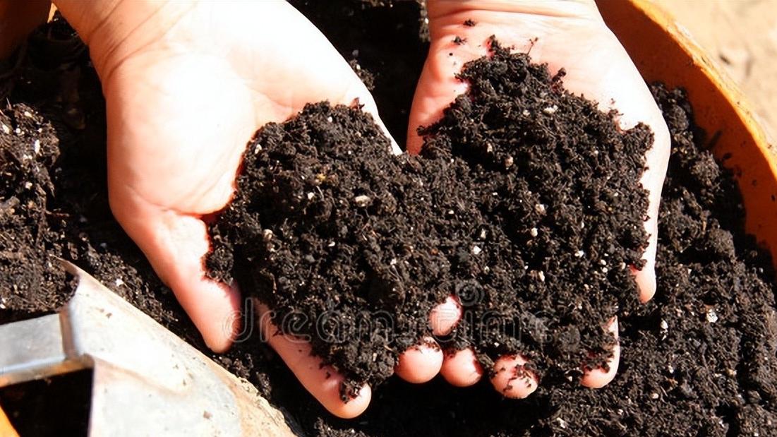 春季种菜底肥很关键，施错了菜不好，怎么施？记住这个要点