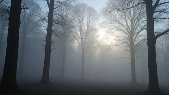 天溯计量过会有点悬！涉嫌违反建筑物规定功能，办公楼当生产用，安全生产怎么办？