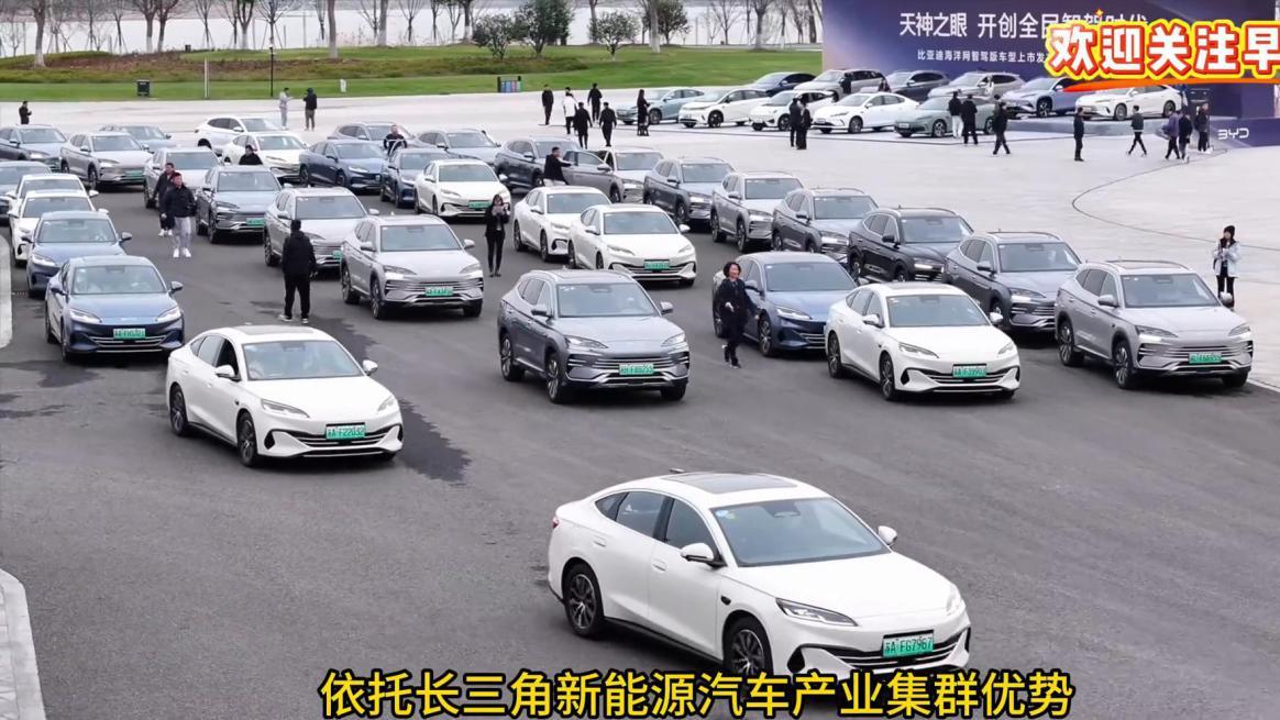 加配不加价，在南京全面体验比亚迪海洋网智驾版车型