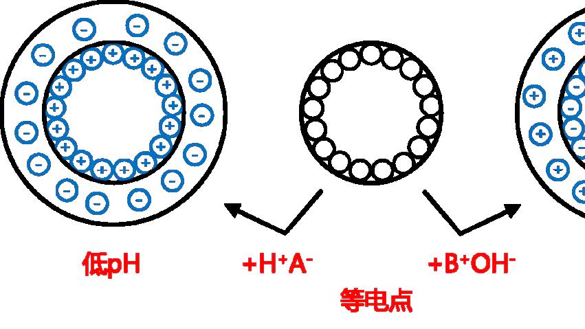 催化剂负载的三大溶液法全解