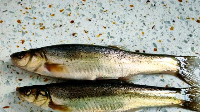 柳根鱼：天冷之后，东北人就馋这口！一酒，一饭，一口鱼