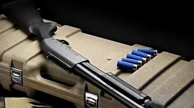 《我是刑警》里“刀枪炮”说的是什么人：一段特殊时期的东北往事