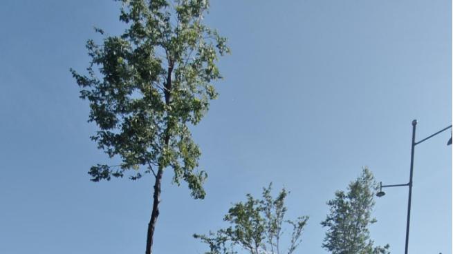 锐界 L 提车半年，现在全家出门没它真不行