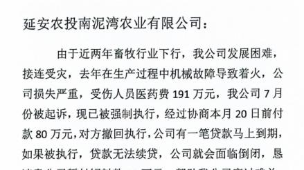 陕西延安某国有企业拖欠私企饲料款109万长达四年，私企多次讨要无果面临经营困境