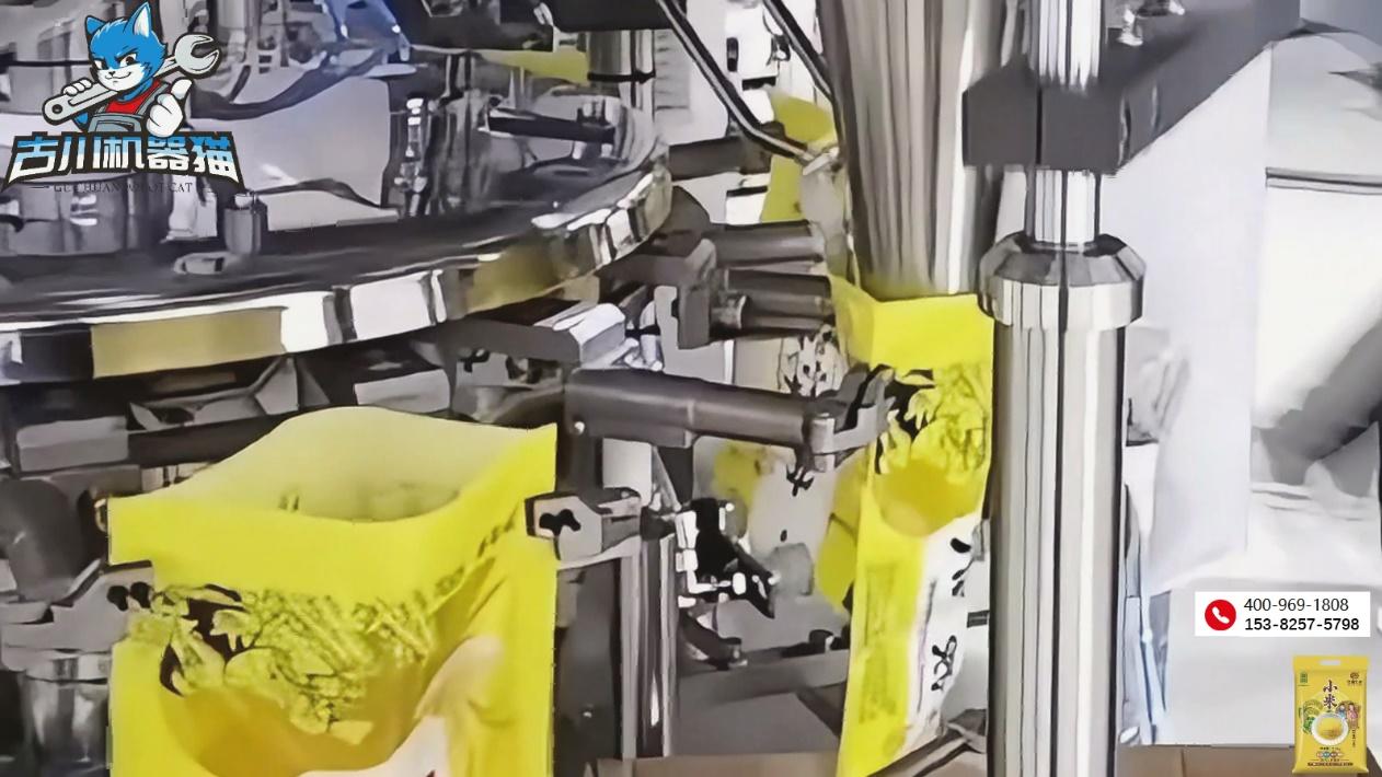 日产超3万包，古川小米包装机：高速封装，颗颗金黄更出众！