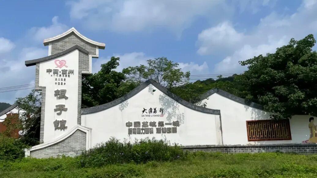 我国以“道士”命名的城市，盛产石油，还是“世界荔枝之都”