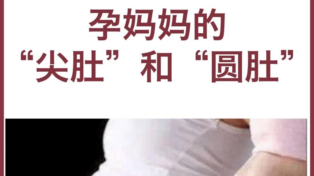 圆肚/尖肚：上怀/下怀；你知道为什么吗？