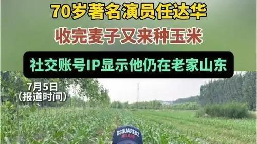惊！影帝秒变“新农人”！任达华山东老家收麦种玉米，反差感拉满！
