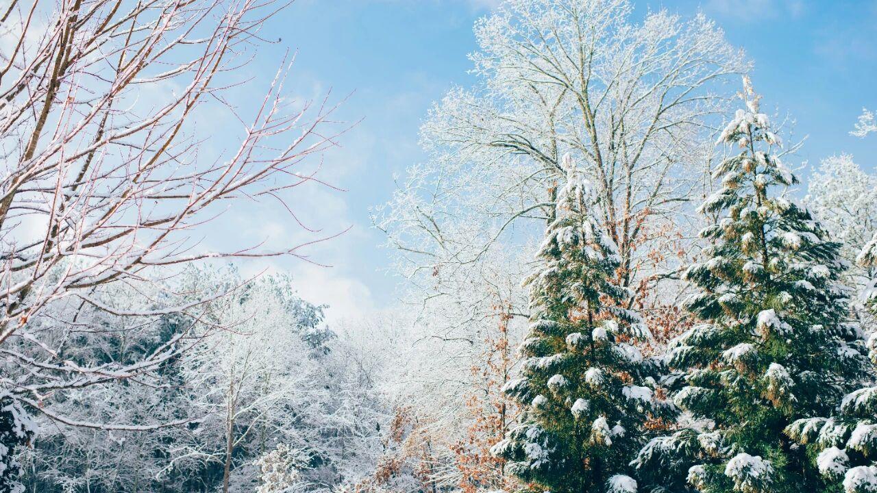 全国换季统一大降温，网友们都不淡定了，你家暖气开了没？