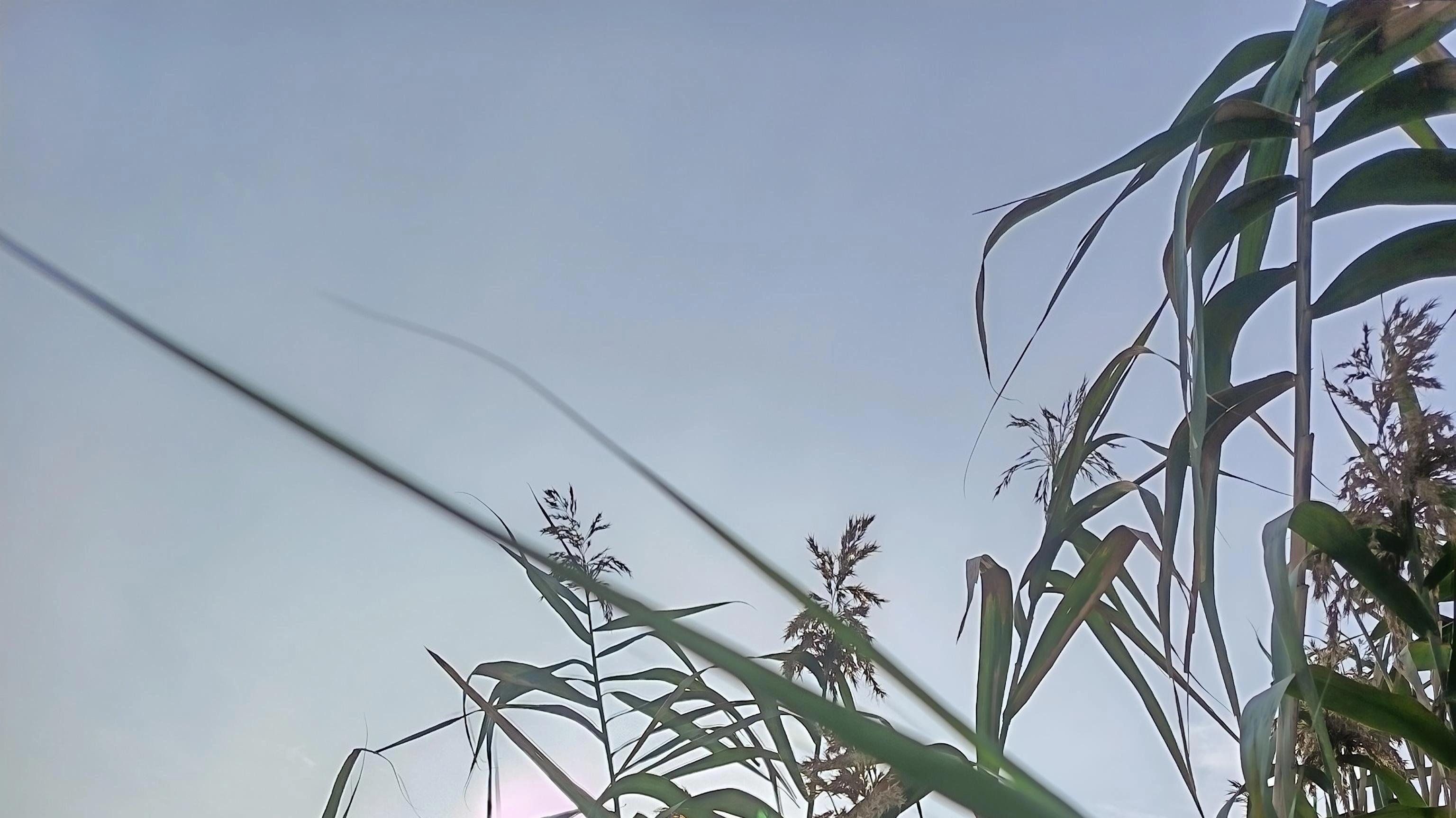 但愿回首时是不过如此