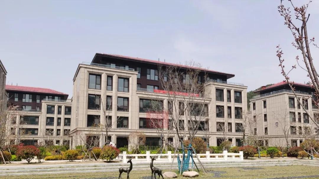 青岛楼市“杀猪盘”？单价9字头，入住崂山富人区？