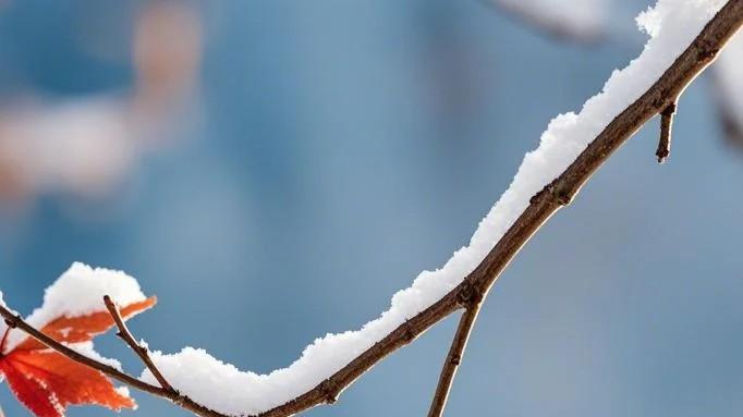 混社会，早明白早好的18个赤裸人性现实