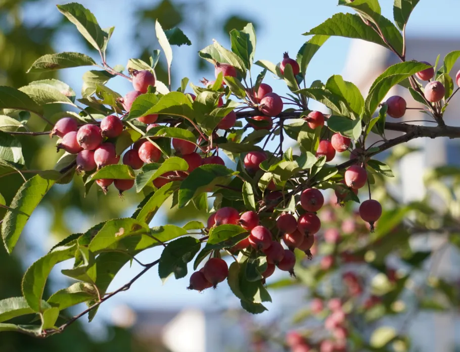 《鬼谷子》精华33句，纵横捭阖，句句包含人生智慧！
