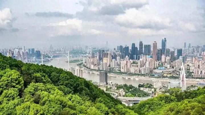 重庆26岁体制内女生，受不了经常加班与出差，祼辞了，下一步咋办