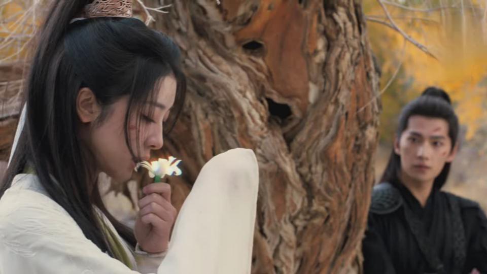 你说《凡人修仙传》韩立到底喜欢哪个姑娘？