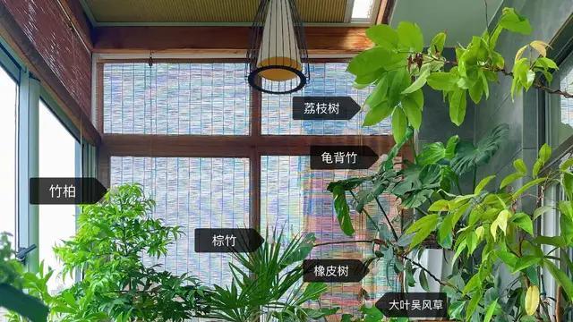 阳台不要晾衣服了，学一下“江苏人的方法”，满满当当，真高级
